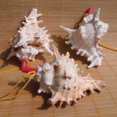 海螺貝殼工藝品超大海螺號 海螺哨 兒童玩具小螺號 地攤熱賣 - 360購物