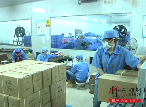 消毒液 螺螄粉 金桔 工藝品 各縣區企業復工復產馬力十足