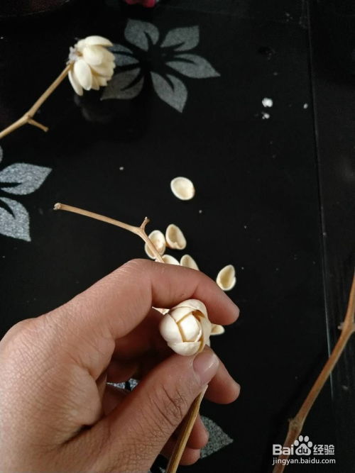 如何用開心果殼制作手工花工藝品